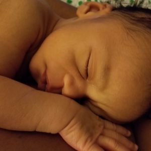 Meet your Posher, Wilbert